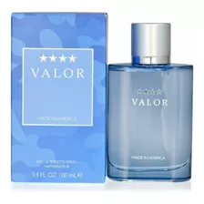 Valor For Him De Dana Para Hombre 100 Ml Original Nuevo