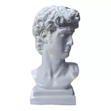 Hermosa Escultura Busto De David Griego Artesanía Decoración
