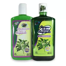 Shampoo Bergamota + Acondicionador, Envio Gratis!