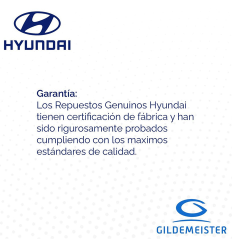 Filtro Combustible Original Hyundai Grand I10 2021 Foto 3
