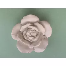 Rosa Aberta De Gesso 20 Unidades 