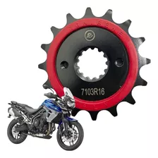 Pinhao 16 Ognibene Triumph 800 Tiger Xrx 2015 A 2020