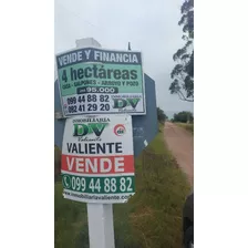 Quinta En Venta De 45255m2 Ubicado En Tala