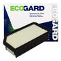 Ecogard Xc10384 Filtro De Aire De Cabina Premium Para Kia K9