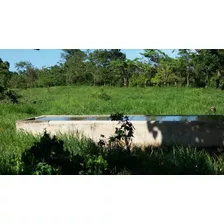 Vendo Finca 857 Tareas En Friusa Bavaro A 20 Mil Peso