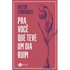 Pra Você Que Teve Um Dia Ruim, De Fernandes, Victor. Editora Planeta Do Brasil Ltda., Capa Mole Em Português, 2019