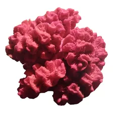Coral Marino Artificial De Resina / Acuario Planta / Pecera 