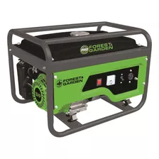 Generador A Gasolina 4t 3.2kw Forest&garden - Gg93500/50