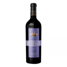 Vino Septima Gran Reserva 10 Barricas Tannat 750ml