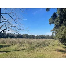 Venta De Chacra Con Casona 12.5 Ha - Los Cerrillos