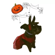 Vestido Para Perros De Diablita- Halloween