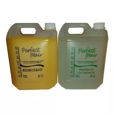 Shampoo Proteico/reestructurante X 5l - Perfect Hair