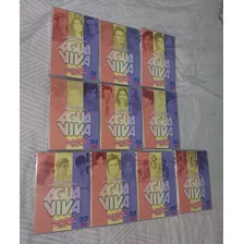 Novela Água Viva Completa Em 60 Dvds 