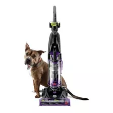 Aspiradora Alfombra Mascota Pelo Perro Gato Bissell 2260 Color Negro Con Morado