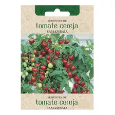 206 Sementes De Tomate Cereja Samambaia Frete Gratis Brasil