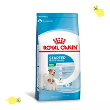 Alimento Royal Canin Mini Starter Mother&baby 1kg Ração Cão