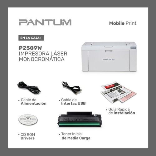 Impresora Pantum Hero P2509w Con Wifi Tienda Oficial Color Negro