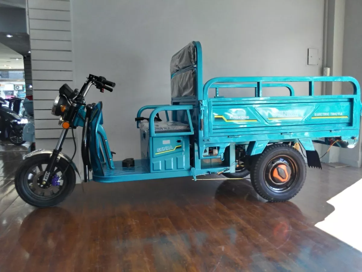 Triciclo Cargo Electrico Trabajo King Kong Sunra Anticipo