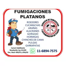 Fumigaciones Cucarachas Ratas Hormigas Pulgas Zona Sur