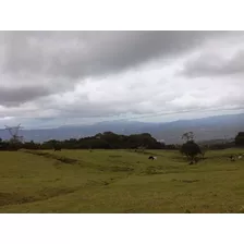 Finca En El Roble/santa Barbara, 18.7 Hectareas