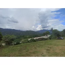 Venta Lote Rural Área 3.000mt, Santa Fé De Antioquia Vereda Los Molinos San Nicolás 