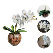 Arranjo De Orquídea Artificial Branca 60cm Com Vaso De Vidro