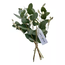 Ramo Flores Secas Preservadas Natural Eucalipto Oferta Deco