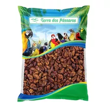 Insetos Desidratados Bicho Da Seda - Crisálida - 400g