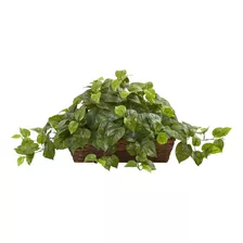 Pothos Casi Naturales Con Cesta De Repisa, Verde, 34 X 18 X 