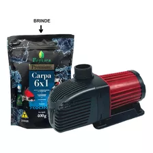 Bomba Submersa 12000 L/h Aep P Lagos 110v + Brinde Carpa 6x1