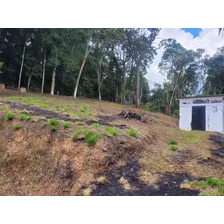 Terreno 1000m2 Em Caucaia Do Alto, Cotia. - Sp