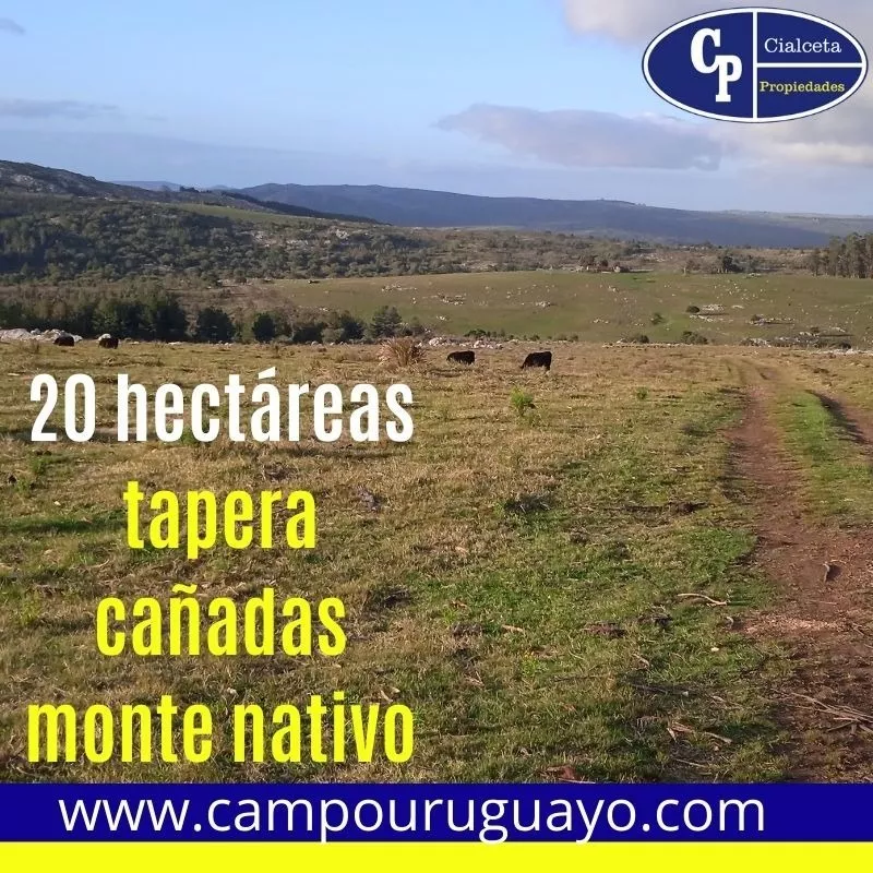 20 Hectáreas Con Tapera A Reciclar, Lugar Alto Y Cañadas
