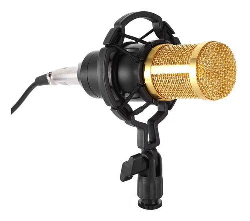 Microfone Andowl Bm-800 Condensador  Unidirecional Preto/dourado