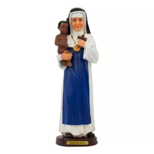 Enfeite Imagem Irmã Dulce Enfeite Religioso De Resina 32 Cm Cor Branco E Azul