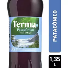 Caja Amargo Terma Patagónico 1.35ml X 12u - Dh Vinoteca 