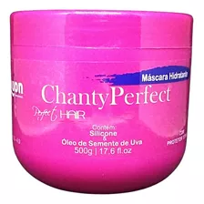 Máscara Nutrição Chantyperfect Com Protetor Térmico 500g