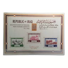 Iraq, Bloque Sc 335a Campaña Contra Hambre 1963 Mint L16534