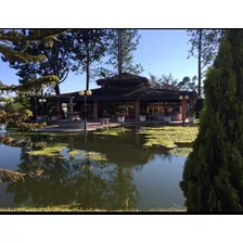 Office - House Spectacular By A Private Pond. Strategic & Safe Location. A Few Minutes Away From The Airport; Noise-free No Ruidos