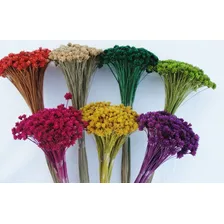 Flor Seca Espeta Nariz Espetinho Decoração Arranjos 5 Maços