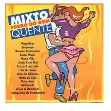 Quadro Decorativo Pequeno Poster Capa Disco Lp Forro Lambada