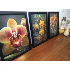 Trio De Quadros E Placas Decorativas / Qualidade Premium