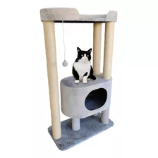 Gimnasios Para Gatos + Obsequio