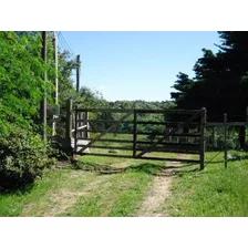 Campo En Venta En Lavalleja, 65 Hectáreas.