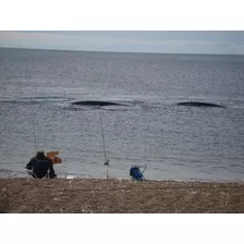 ¿estas Buscando Una Propiedad En La Costa Del Mar?. Te Ofrezco Una Propiedad Unica, Con Escritura Hasta La Marea Mas Alta