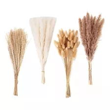 Plumas De Hierba De Pampa, Decoración Seca Natural Con 100 T