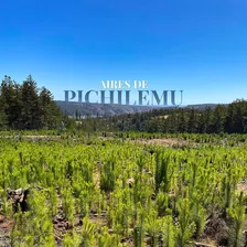 Últimas Parcelas En Pichilemu, Con Vista A Laguna Cahuil 