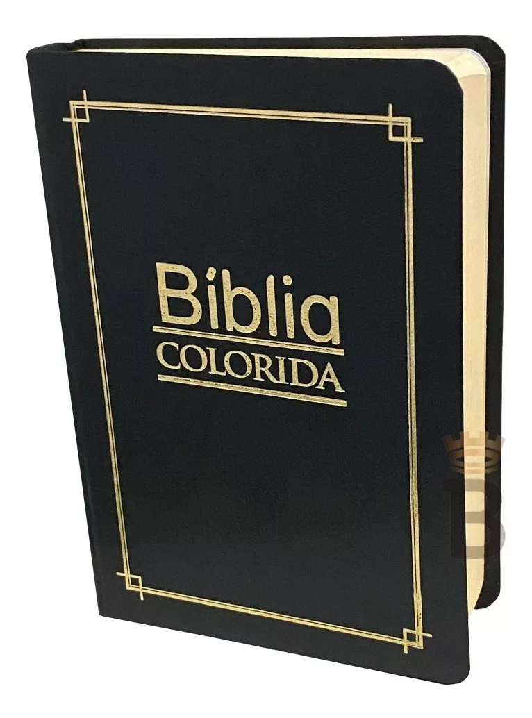 Bíblia Sagrada Colorida Jovem  Sbu - Preta - 12x17cm