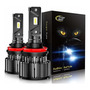 Cougarmotor Hid Xenon Headlight  Bulbs  Ds  W K Pack Of... Mercury Cougar