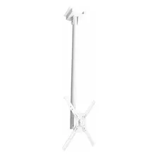 Suporte Brasforma Sbrp150 De Teto Para Tv/monitor De 10 Até 55 Branco