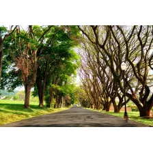 Terreno No Condomínio Alto Padrão Fazenda Serra Azul